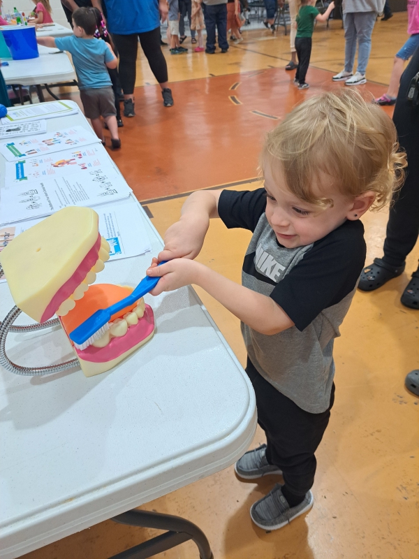 Photo for Family Activity Night focusing on Health & Wellness